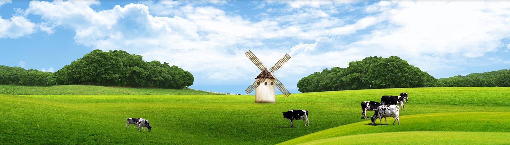 汉中诚合农业科技有限公司、花卉种植销售、苗木种植销售、蔬菜种植销售、果树种植销售、中药材种植销售